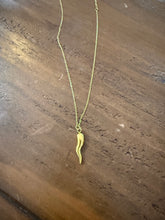 Load image into Gallery viewer, waterproof italian horn necklace