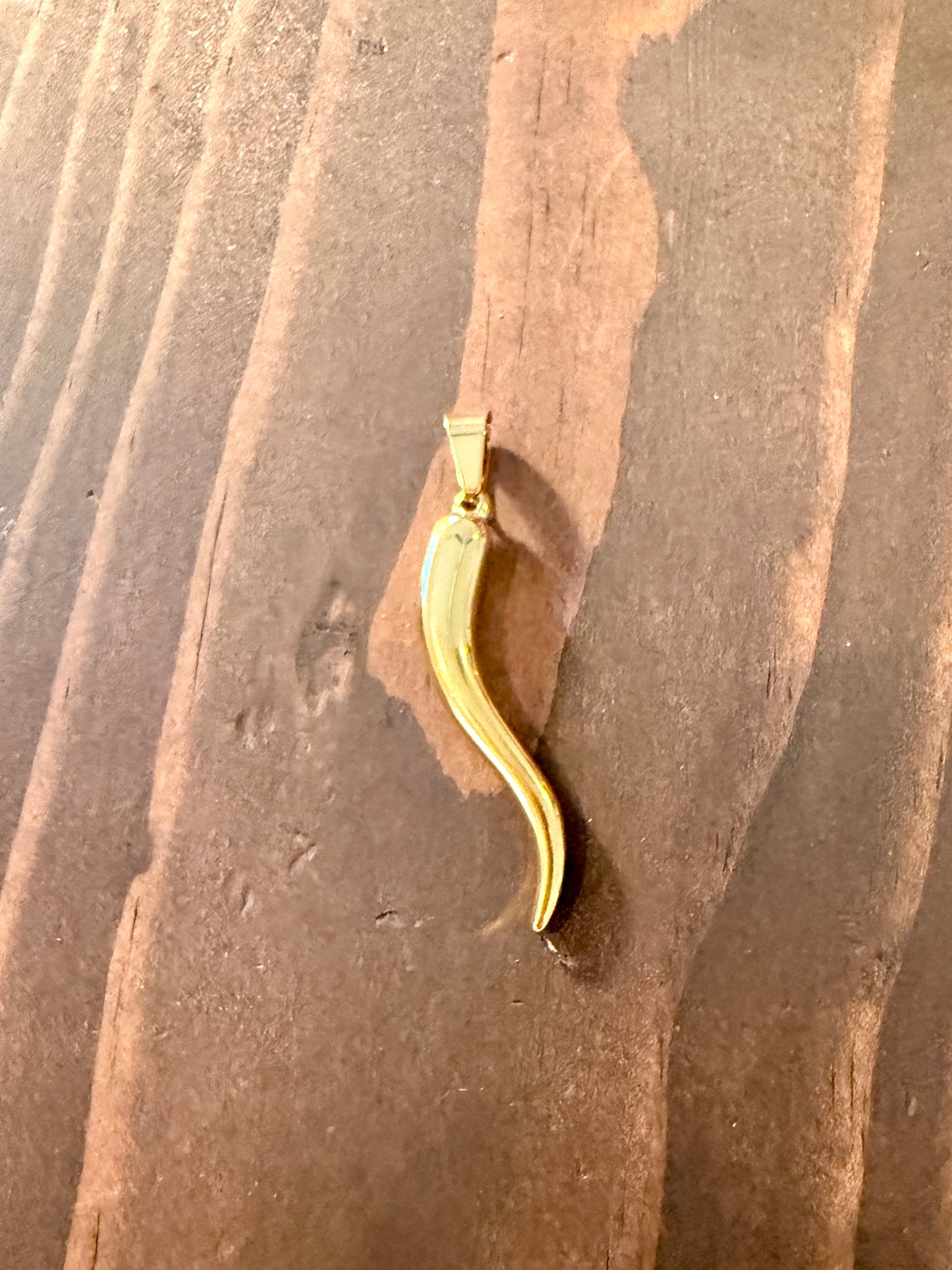 jumbo Italian horn necklace
